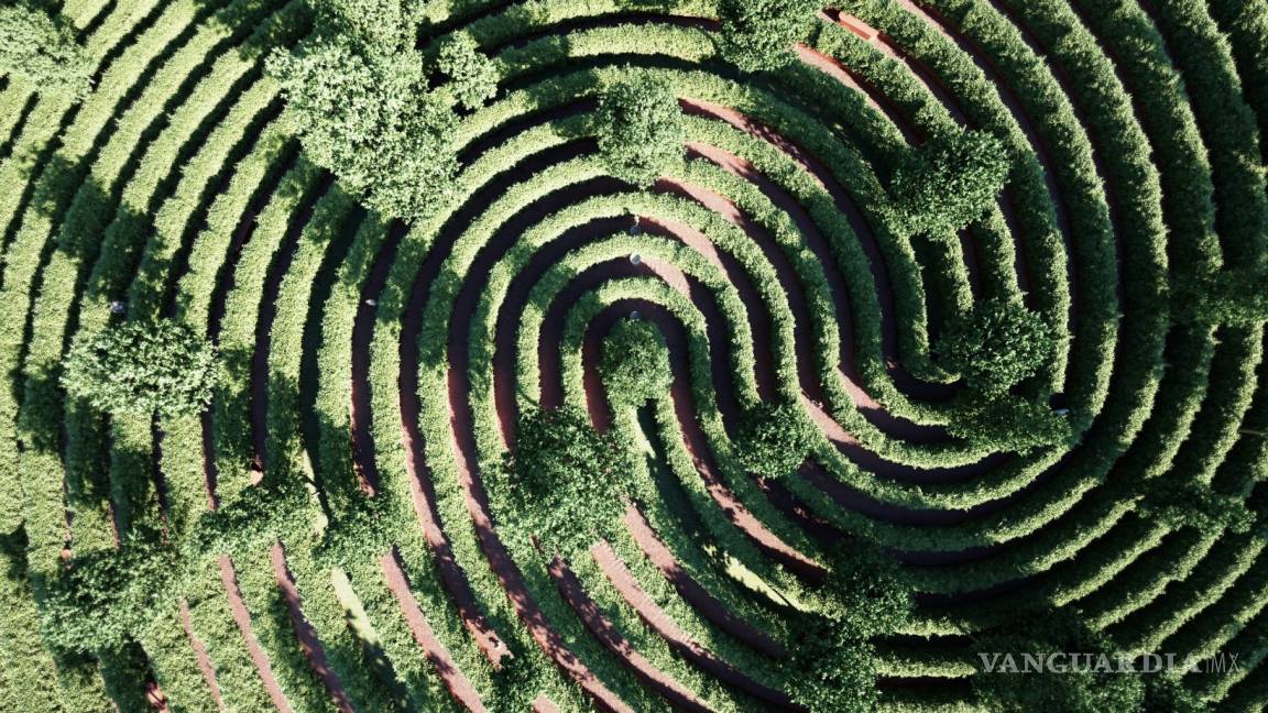 $!“Park de la Distance”, un parque de la nueva normalidad a prueba de contagios de COVID-19