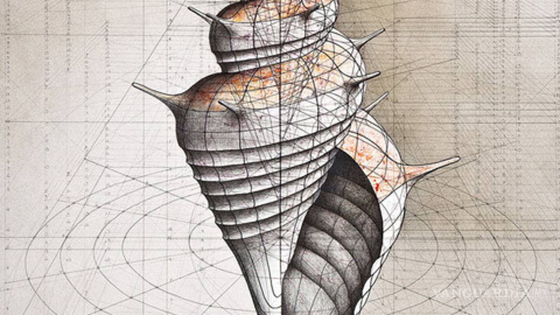$!Fibonacci para colorear