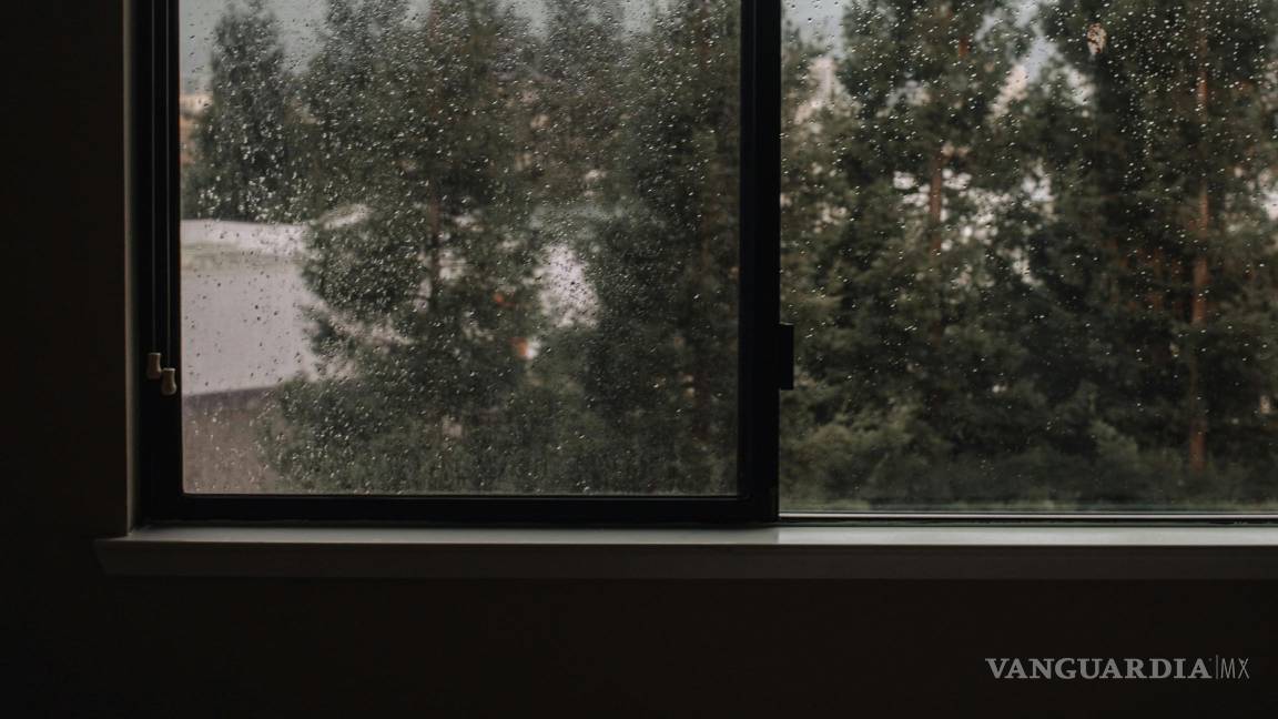 $!Blanco, rojo o negro... ¿Qué color de impermeabilizante es mejor según el clima y las necesidades del hogar?