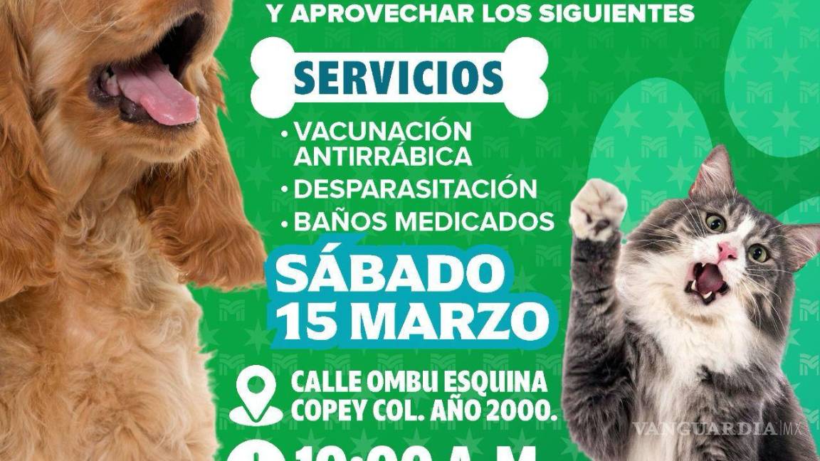 $!Mascotas recibirán atención gratuita en la jornada de salud organizada por el programa Mejora Coahuila en Piedras Negras.