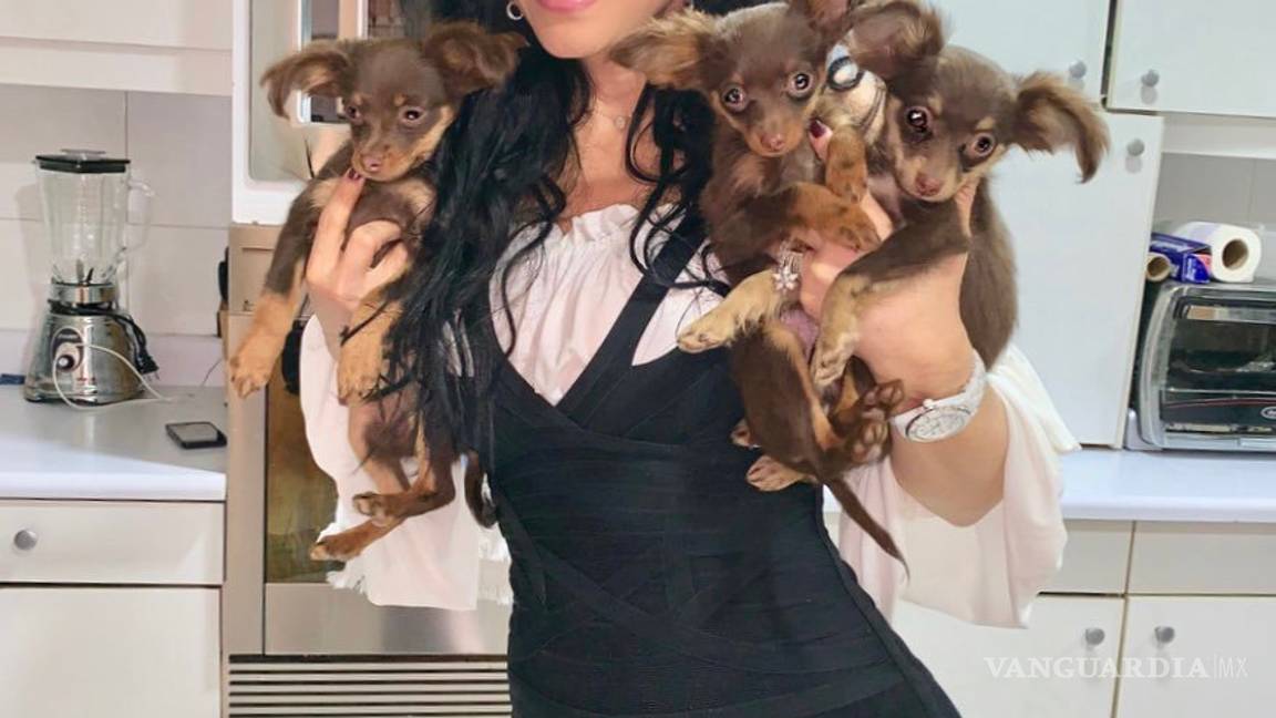 $!Día triste para Maribel Guardia; falleció su perrito