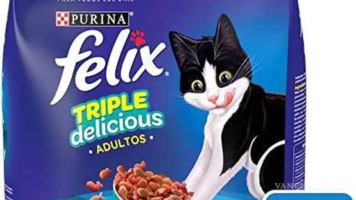 $!¿Hay gato encerrado en las croquetas para tu ‘michi’?... Según Profeco, estas son las marcas más engañosas y dañinas para tu mascota