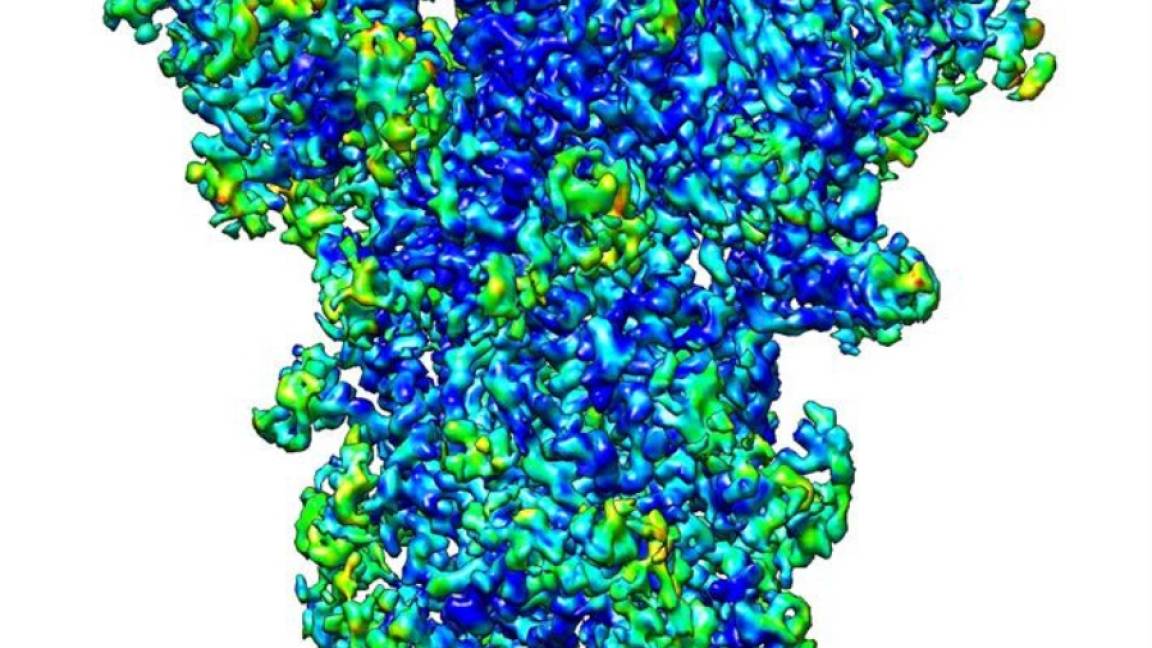 Nuevas técnicas de imagen en 3D mejoran el conocimiento del virus SARS-CoV-2
