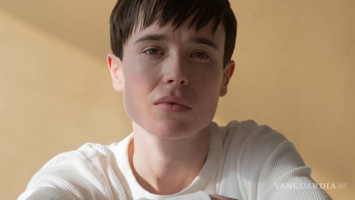 $!Desde Demi Lovato hasta Elliot Page, ¿qué es el género no binario?