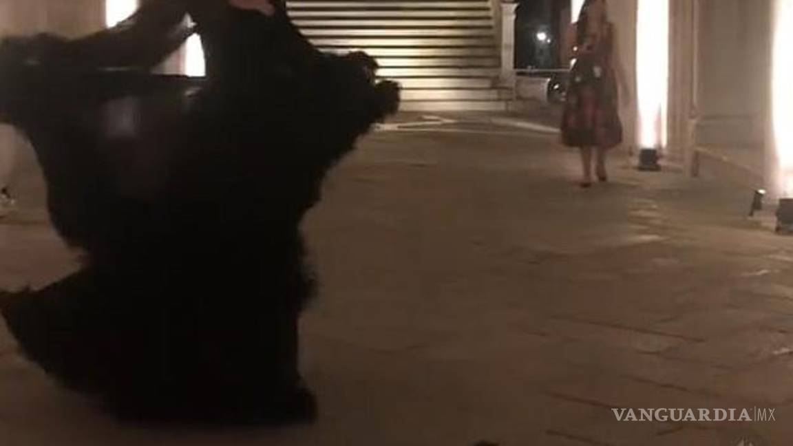 $!La actriz agradeció a los diseñadores D&amp;G que con uno de sus vestidos pudo vivir un momento de Cenicienta.