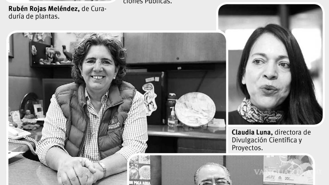 $!Cumplen 6 trabajadores 20 años laborando en el Museo del Desierto de Saltillo