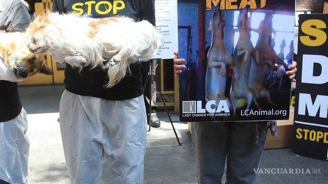 Kim Basinger y Priscilla Presley protestan con perros muertos en sus manos