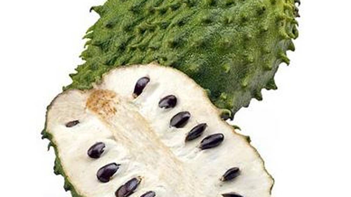 $!Moléculas de guanábana pueden destruir células de cáncer