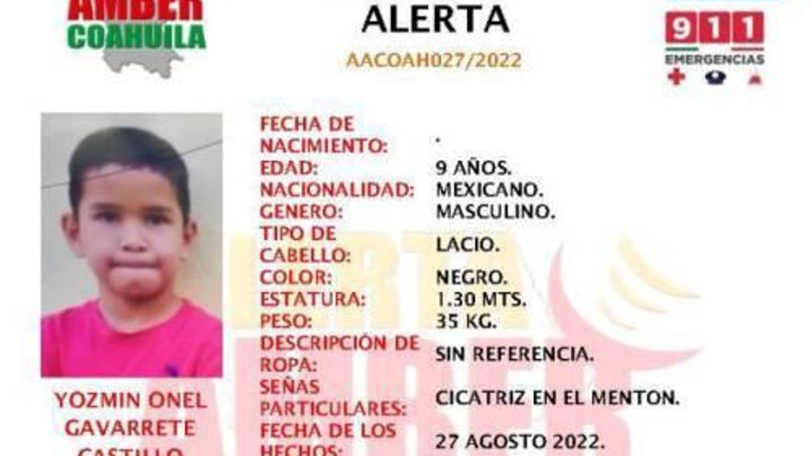 $!Ficha de desaparición de Yozmin Onel.