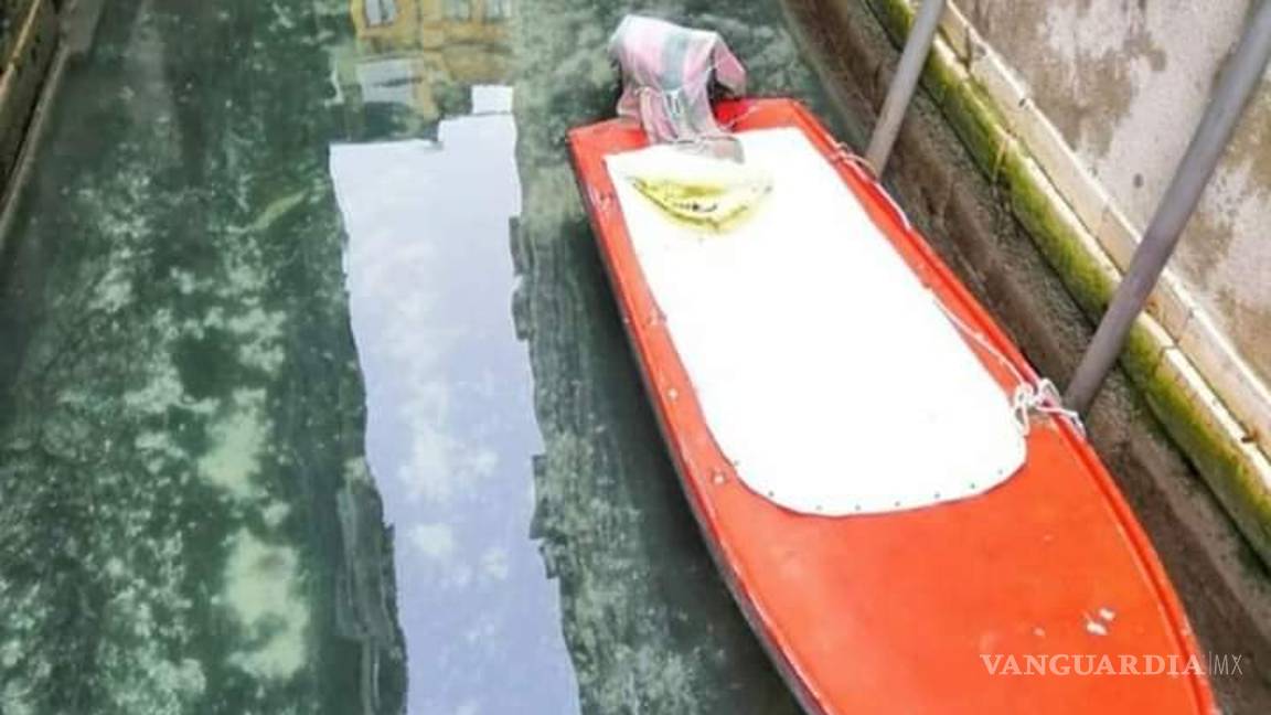 $!Hoy es el Día de la Tierra: Pandemia, ‘un respiro’ para el planeta