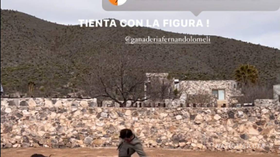 $!Imagen de la tienta ilegal revelan la participación de figuras destacadas, incluyendo al torero Joselito “N”.