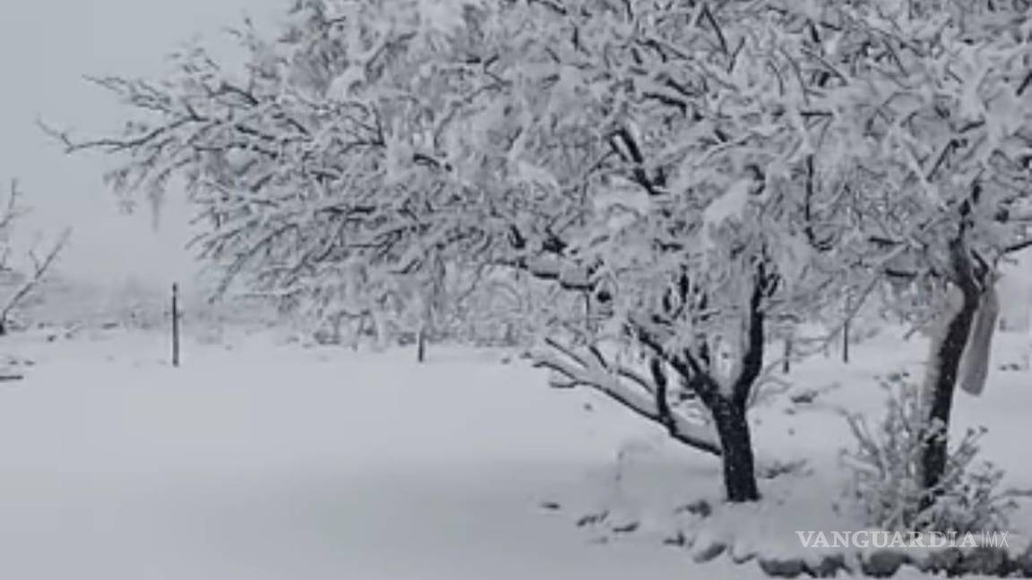 $!Tanto en Piedras Negras y Acuña, como en la Región Sureste de la entidad como es Saltillo, los termómetros empezaron a tocar los 10 grados de temperatura.