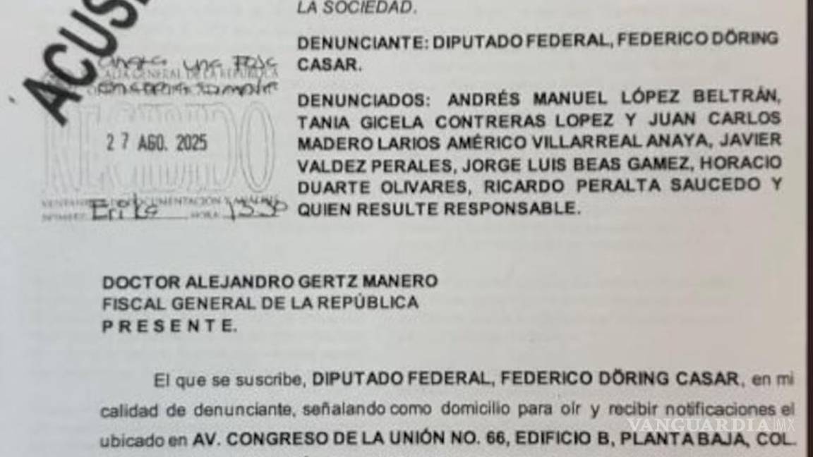 $!Presentan denuncia contra Andy López Beltrán y otros miembros de Morena, presuntamente vinculados a red criminal