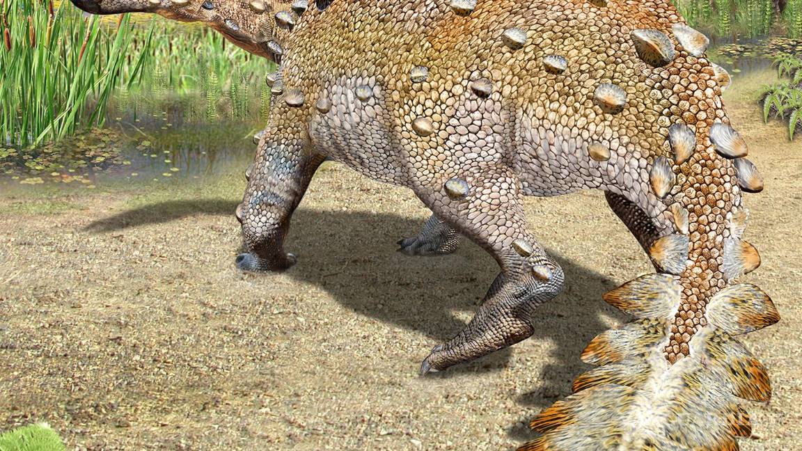 $!Ilustración facilitada por Mauricio Álvarez que muestra un stegouros, una criatura que existió hace 72 millones o 75 millones de años en lo que es hoy Chile. AP/Mauricio Alvarez