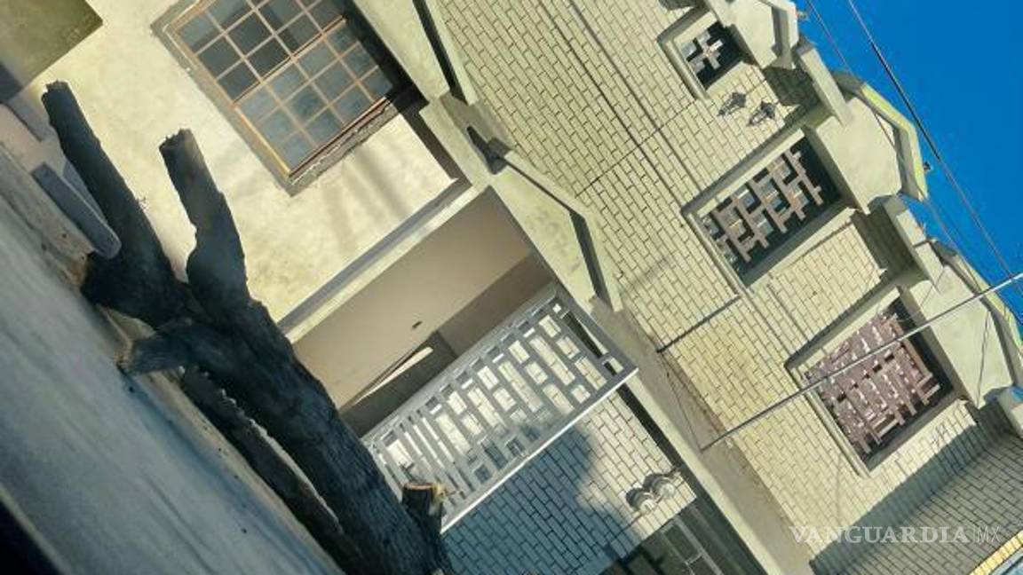 $!Activistas ambientales insisten en que cualquier tala de árboles en Saltillo debe ser justificada y acompañada de medidas de reforestación.