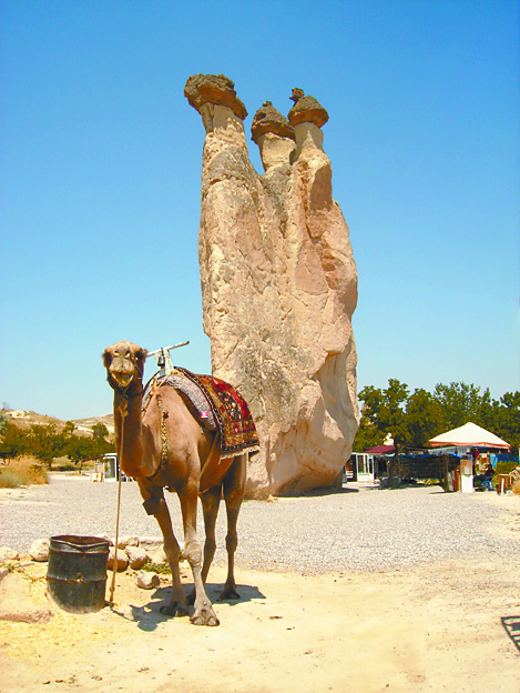 $!El valle de los hechiceros dormidos