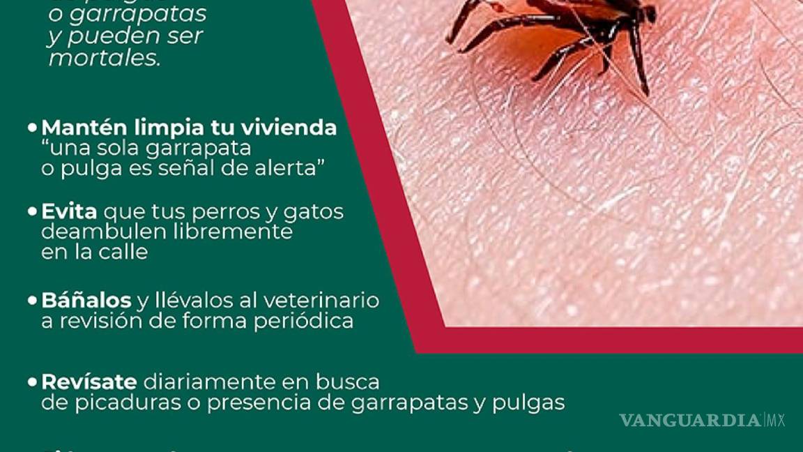 $!Tamaulipas registra su primer caso de rickettsiosis en 2025; suman 76 casos a nivel nacional