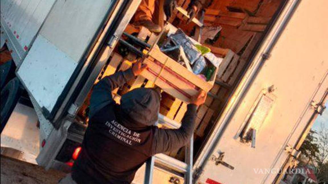$!Incautan 275 mil pastillas de fentanilo ocultas en cargamento de nopales