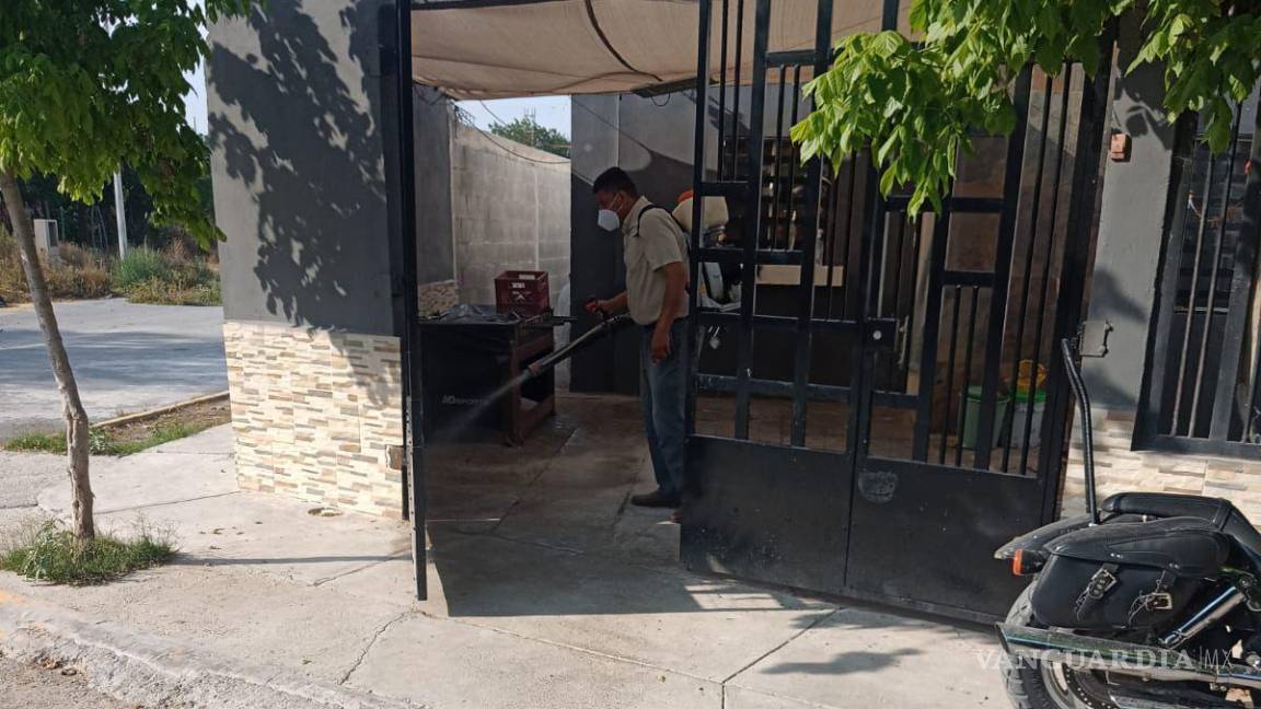 $!La fumigación, una medida preventiva ante las altas temperaturas que han favorecido la aparición de chinches en la región.