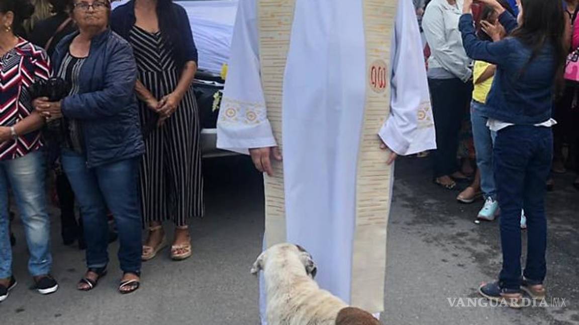 $!Sacerdote lleva perros a sus misas para que fieles los adopten; "Son de Dios"