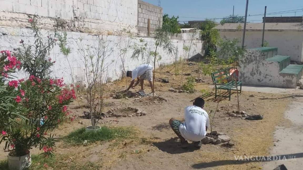 Tribunal de Justicia en Torreón ha generado 173 acciones de servicio comunitario