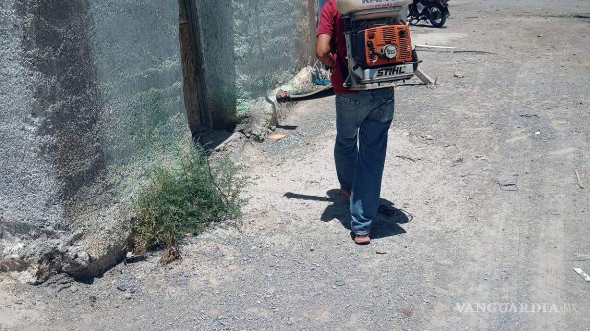 Alertan por brote de garrapatas en escuelas de Ramos Arizpe; Municipio realiza jornadas de fumigación