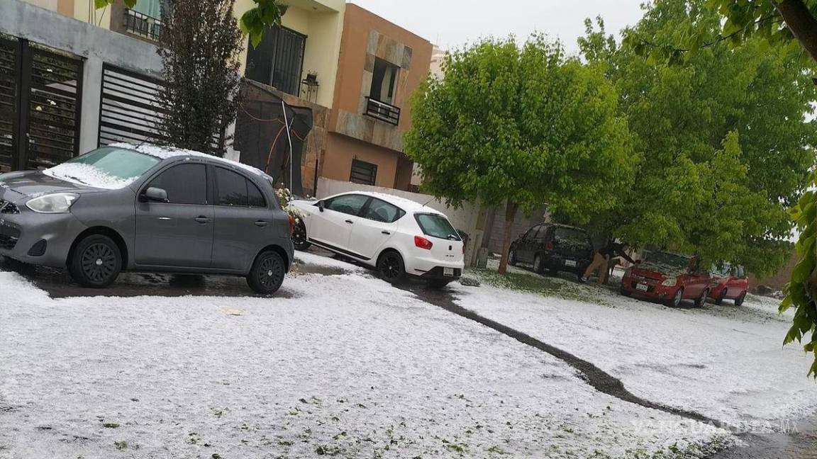 $!Para las próximas horas, el director de Protección Civil recomendó a la ciudadanía que tome sus precauciones, pues se esperan temperaturas por debajo de los 10 grados.