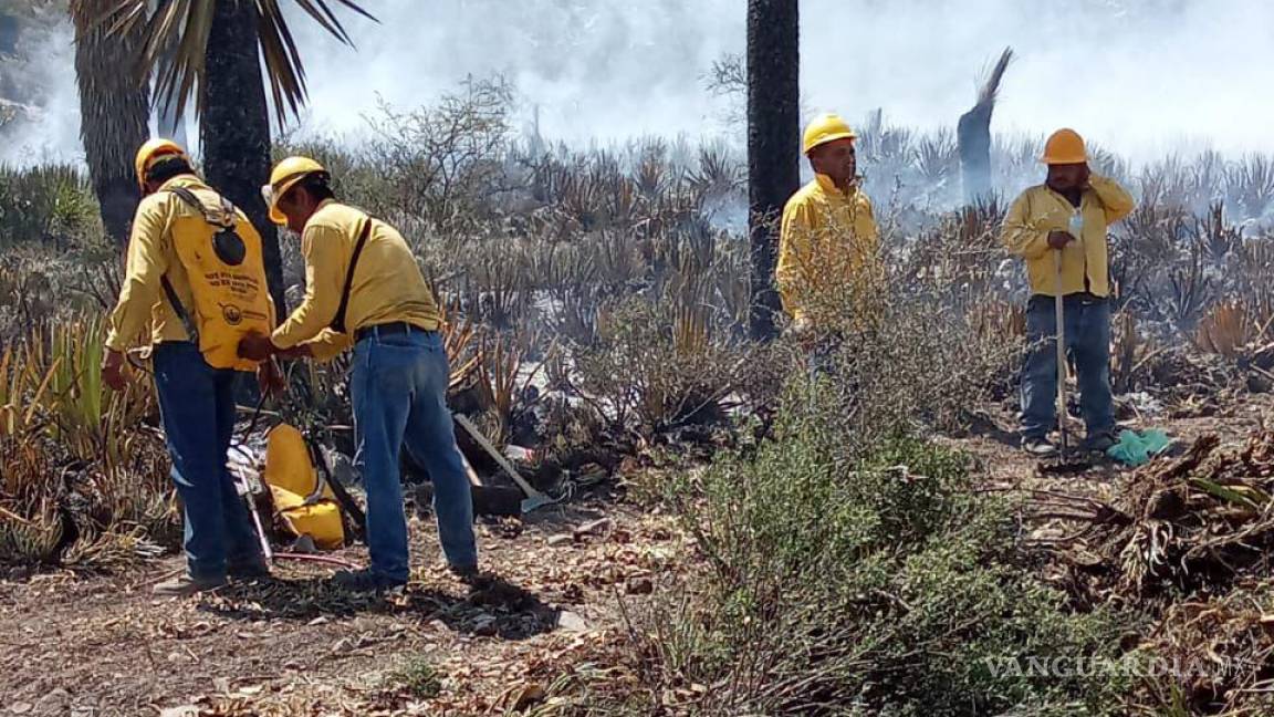 Al 80% liquidación en Nuevo León de incendio forestal iniciado en SLP