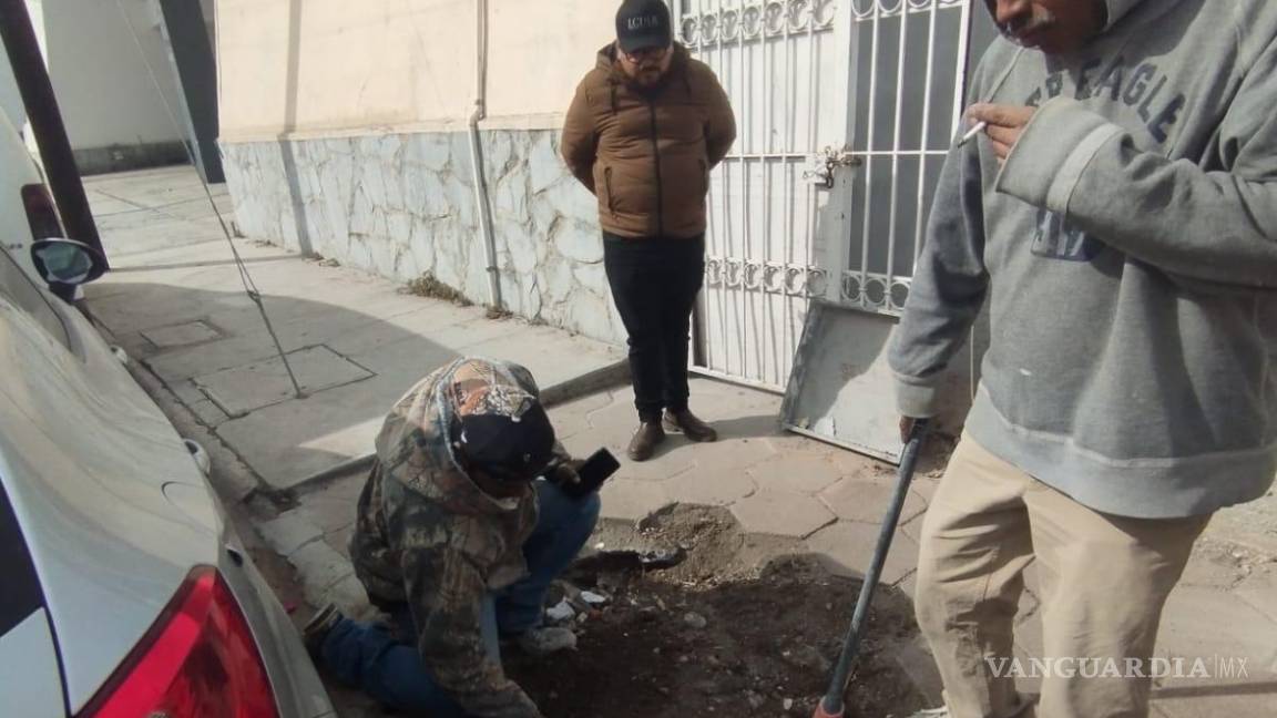 $!A pesar de contar con permisos, las autoridades subrayan que la reposición de los árboles talados es una obligación, buscando contrarrestar los daños causados al ecosistema.