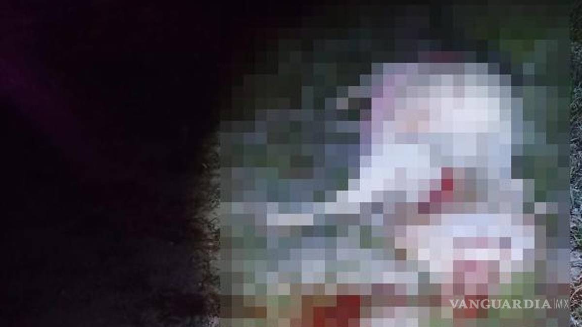 $!El ganado involucrado en el accidente fue lanzado a un terreno baldío, donde falleció.