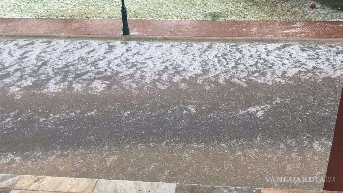 $!Tromba causa caos en norte de Saltillo; caen árboles y panorámicos