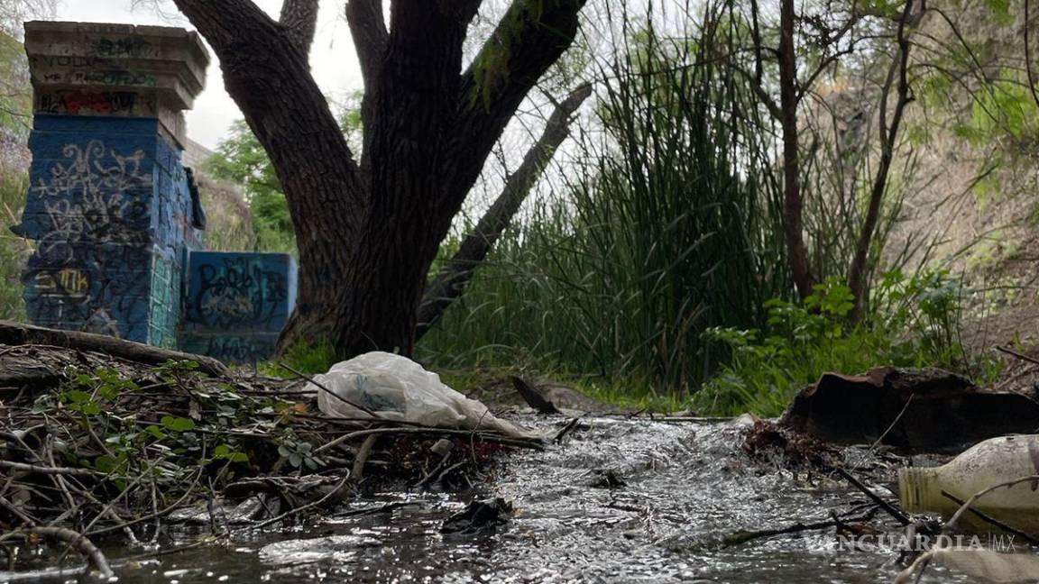 Alto grado de contaminación del Pozo Azul vuelve letal entorno para Carpita de Saltillo