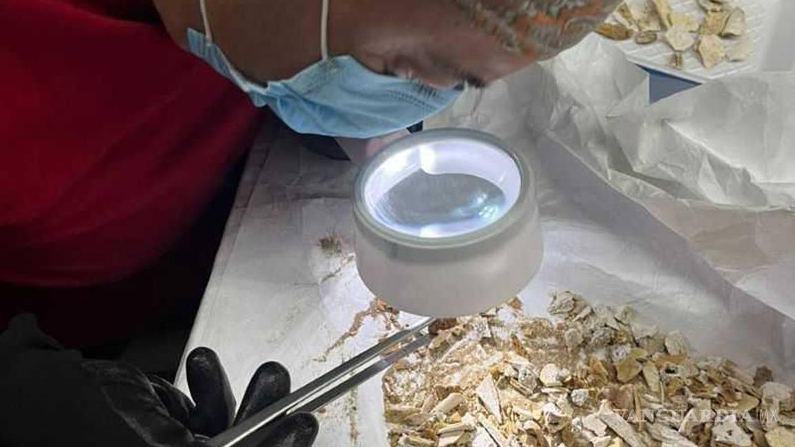 $!Se someterán los restos encontrados a rigurosas pruebas, para extraer la mayor información posible.