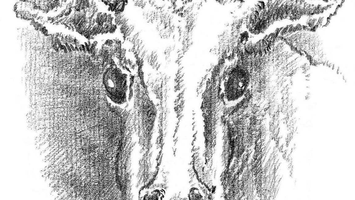 $!"De la finitud", el regalo literario de Grass, un año después de su muerte