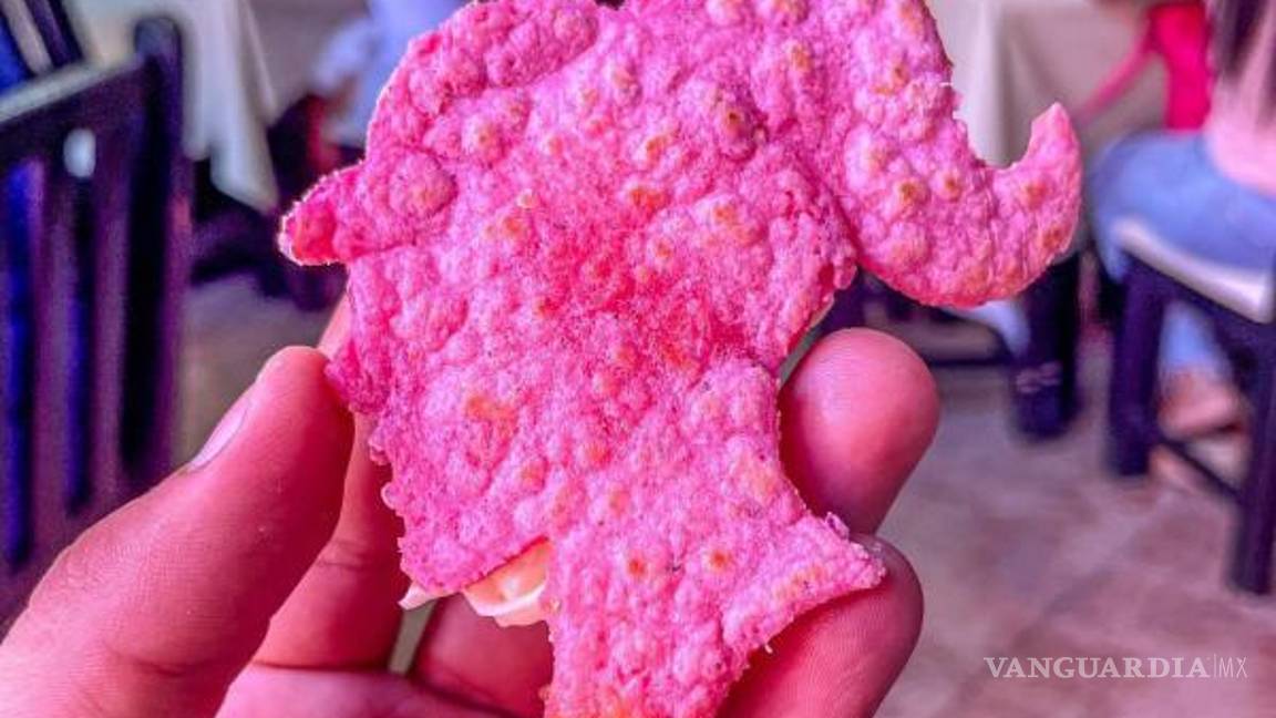 $!También hay gorditas en el mismo tono rosa y con el perfil de la Barbie por lo que usuarios de redes afirmaron que esto ya se salió de control.
