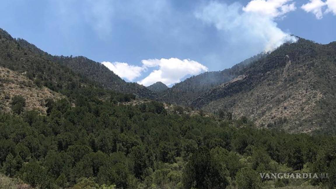 $!De acuerdo con las autoridades de Protección Civil y Bomberos en el incendio de mayo la superficie afectada fue de 10 hectáreas.