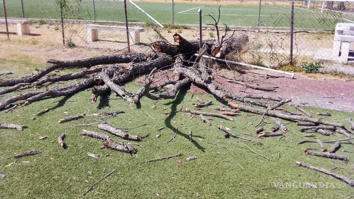 Fuertes ráfagas de viento causan destrozos e incendios en Candela, Coahuila