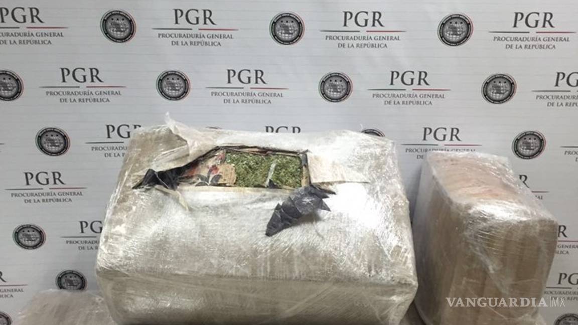 $!PGR incauta 80 kilos de mariguana en Nuevo León