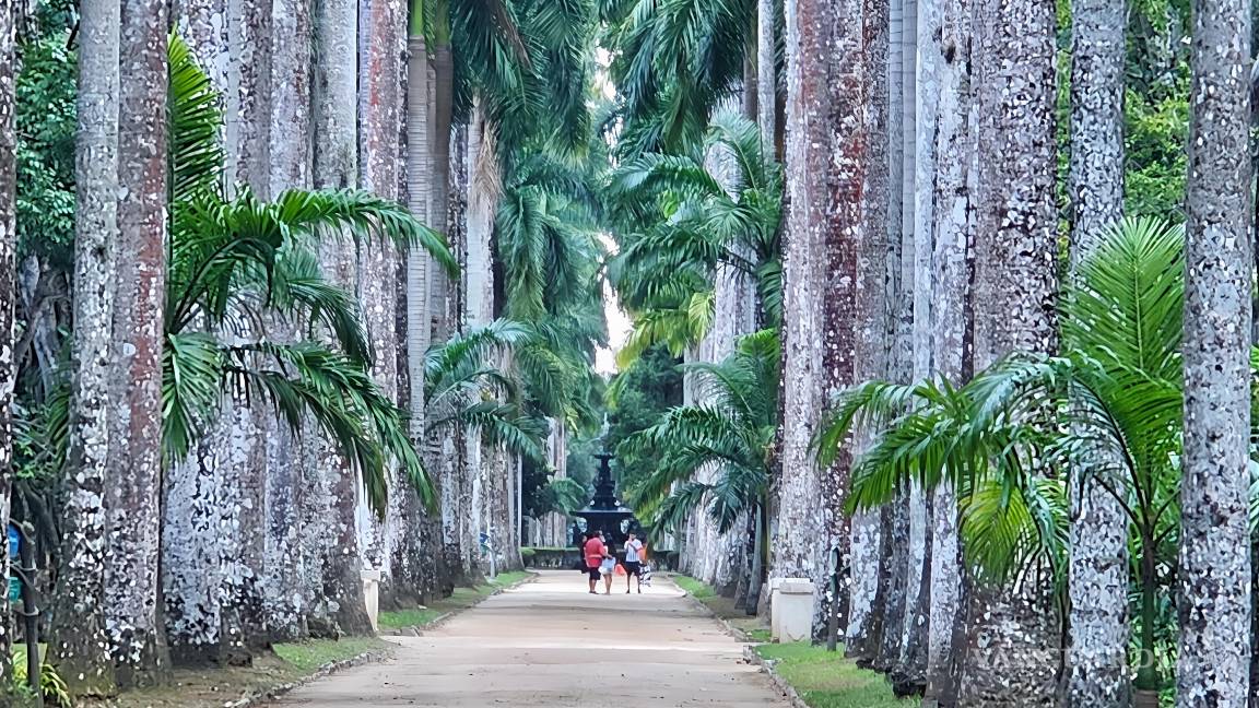 $!FOTO: MIGUELCRESPO