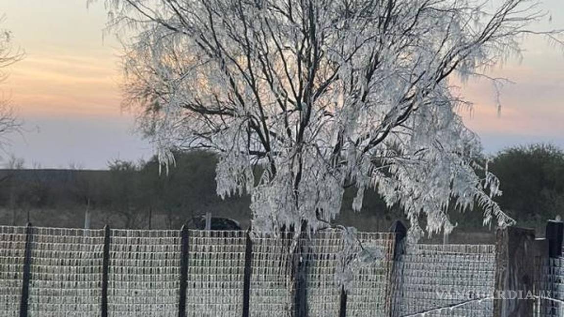 $!Imagen del día de ayer de la zona rural de Sabinas, Coahuila.