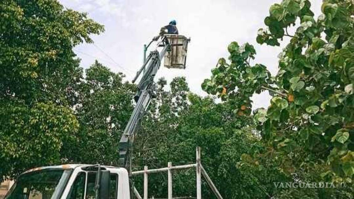 Refuerza Servicios Públicos la atención en las luminarias de Torreón