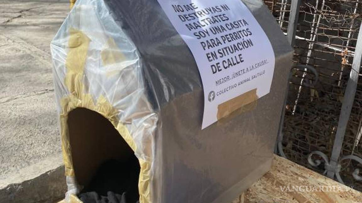 $!El colectivo anunció que irá lento en la colocación de estas casas con el objetivo de ver como son tratadas por la gente.