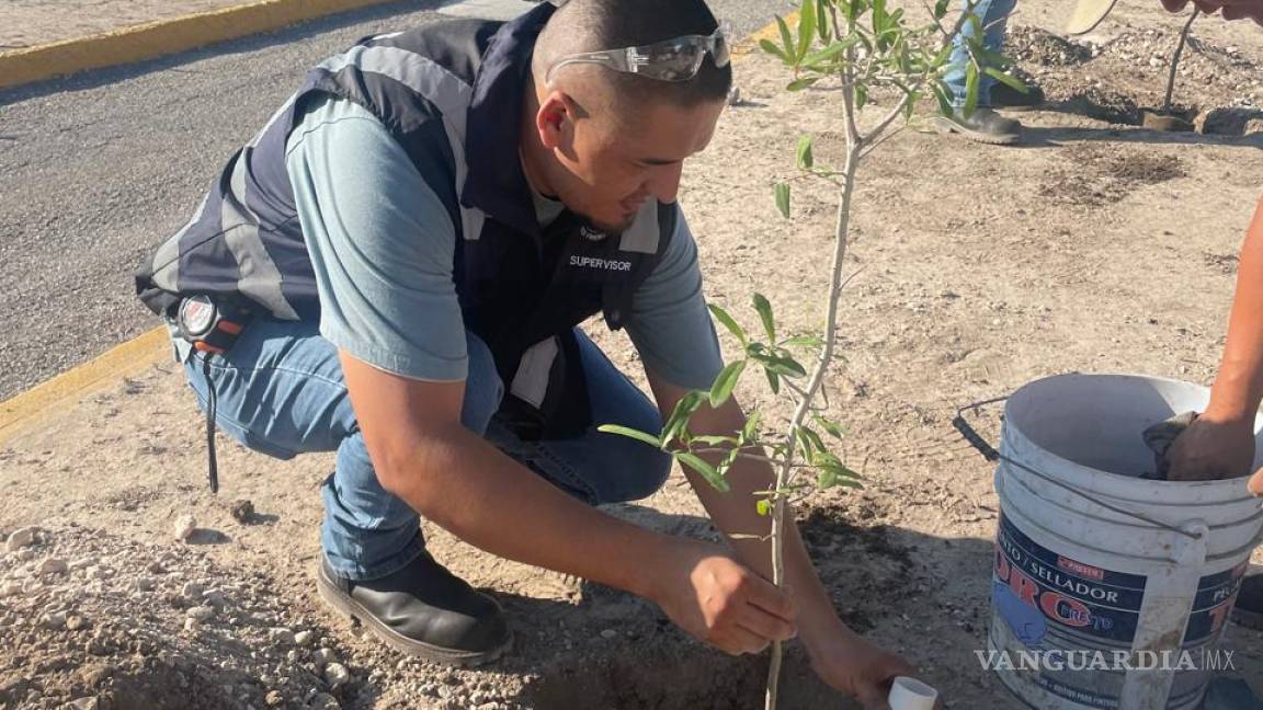 Inicia maquiladora de Ciudad Acuña plan de largo aliento para reforestar sus instalaciones