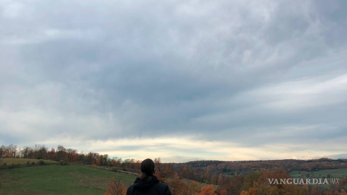 $!La empresa Flash Forest quiere sembrar mil millones de árboles en Canadá usando drones