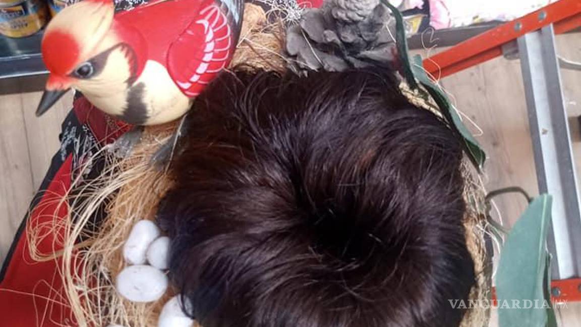 $!Empleados de AlSuper en Saltillo se ‘alocan’ con disfraces para festejar a los niños