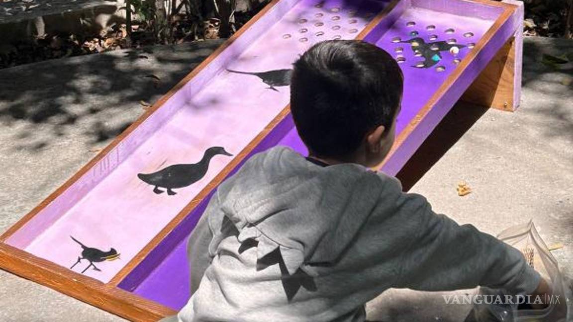 $!Niños y adultos podrán explorar la diversidad aviar y los distintos hábitats en exhibición en el Musave