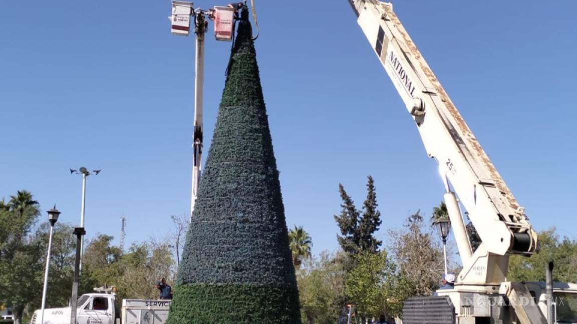 Arranca la magia: Frontera inicia instalación del Pino Navideño en Plaza Principal