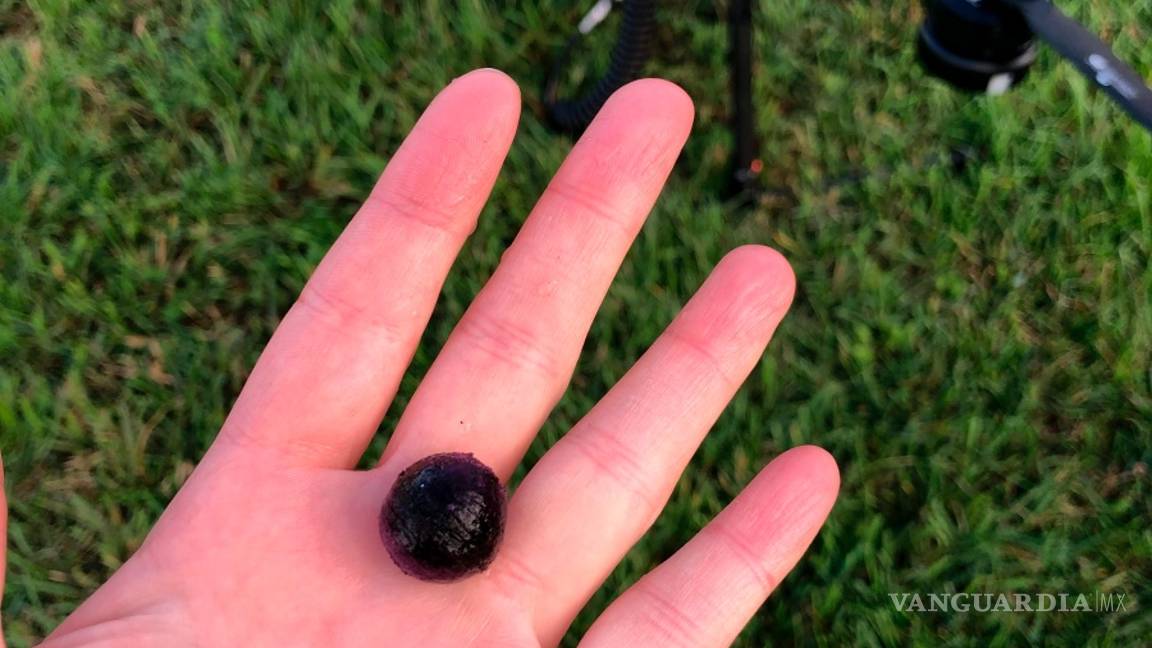 $!La empresa Flash Forest quiere sembrar mil millones de árboles en Canadá usando drones