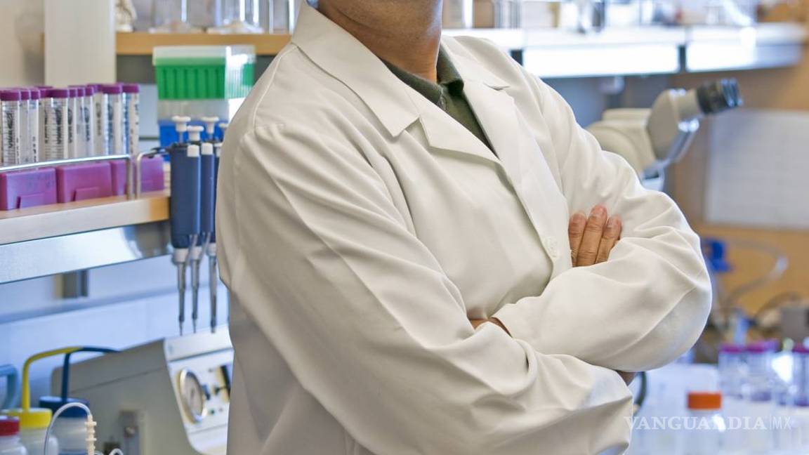 $!Crean un riñón bio artificial