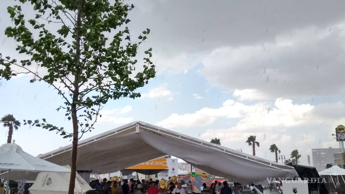 $!Tromba causa caos en norte de Saltillo; caen árboles y panorámicos